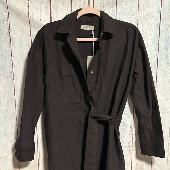 NWT Everlane The Oxford Shirtdress - Picture 7 of 16